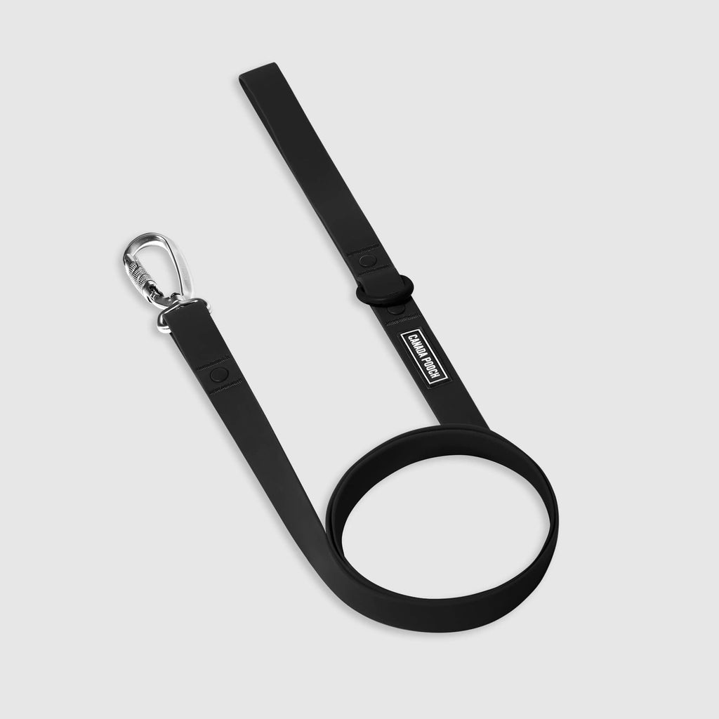 Waterproof Leash Y9