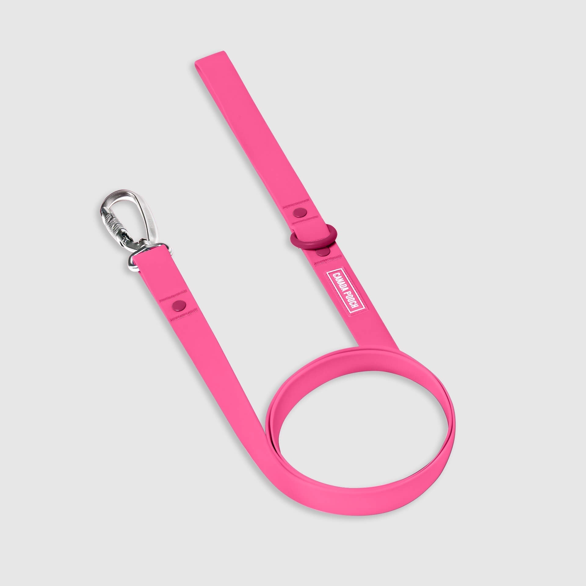Waterproof Leash Y9