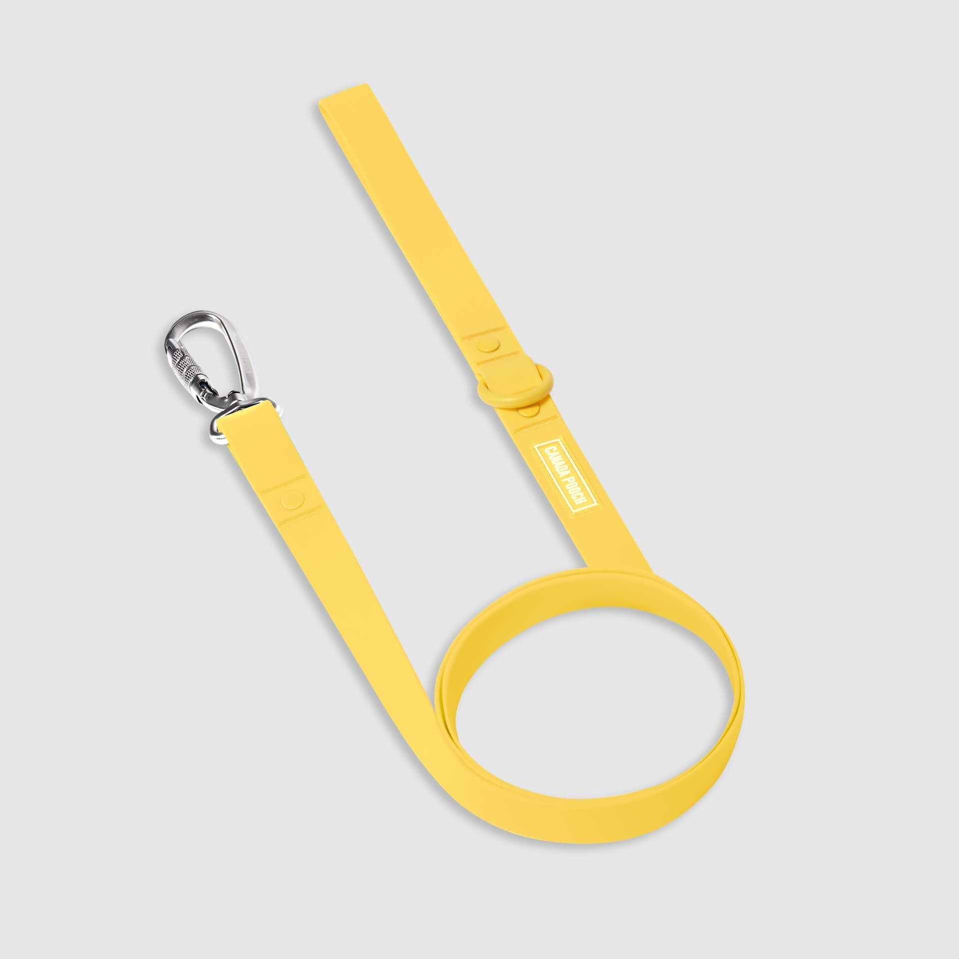 Waterproof Leash Y9